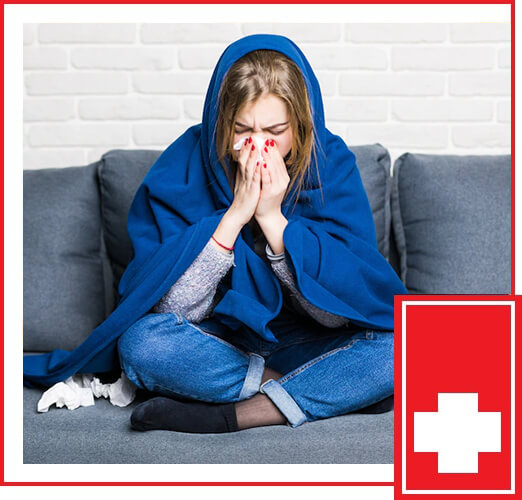 WHAT IS THE FLU?